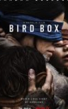 Bird Box – Türkçe Dublaj 720P izle